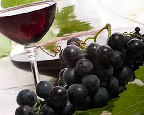 Домашнее вино из не южных сортов винограда
